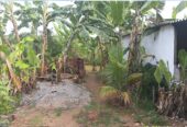 Chácara à Venda – Baguari | Governador Valadares