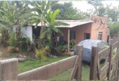 Chácara à Venda – Baguari | Governador Valadares